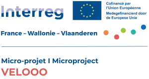 Lien vers: https://www.interreg-fwvl.eu/fr/boite-a-outils/guide-micro-projets
